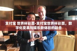 支付宝 世界杯彩票-支付宝世界杯彩票，数字化变革与娱乐新体验的融合