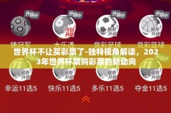 世界杯不让买彩票了-独特视角解读，2023年世界杯禁购彩票的新动向