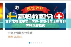支付宝在哪里买世界杯-在支付宝上购买世界杯观赛指南