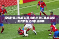 微信世界杯体育彩票-微信世界杯体育彩票，新兴的互动与机遇探析