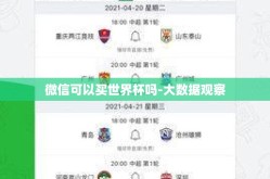 微信可以买世界杯吗-大数据观察