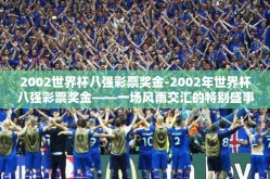 2002世界杯八强彩票奖金-2002年世界杯八强彩票奖金——一场风雨交汇的特别盛事