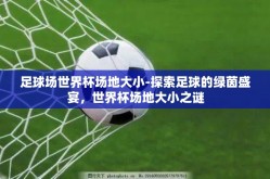 足球场世界杯场地大小-探索足球的绿茵盛宴，世界杯场地大小之谜