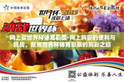 网上买世界杯体育彩票-网上购彩的便利与挑战，聚焦世界杯体育彩票的购彩之旅