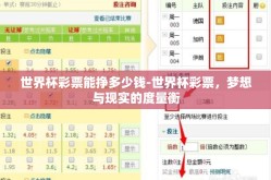 世界杯彩票能挣多少钱-世界杯彩票，梦想与现实的度量衡