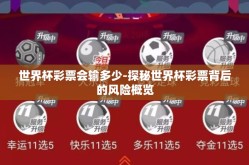 世界杯彩票会输多少-探秘世界杯彩票背后的风险概览