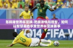 怎样赌世界杯足球-把握激情与理智，如何以智慧姿态享受世界杯足球赛事