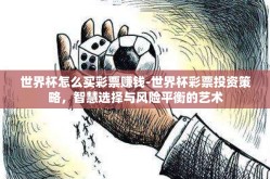 世界杯怎么买彩票赚钱-世界杯彩票投资策略，智慧选择与风险平衡的艺术