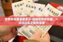 世界杯彩票会输多少-探秘世界杯彩票，一次过山车之旅的深潜