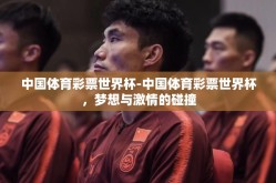 中国体育彩票世界杯-中国体育彩票世界杯，梦想与激情的碰撞