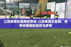 江苏体育彩票网世界杯-江苏体育彩票网，世界杯期间的狂欢与梦想