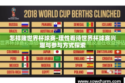 怎样赌世界杯球赛-理性看待世界杯球赛兴趣与参与方式探索