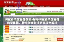 淘宝彩票世界杯在哪-探寻淘宝彩票世界杯购买秘籍，精准指南与注意事项全解析