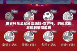 世界杯怎么买彩票赚钱-世界杯，购彩攻略与盈利策略解析
