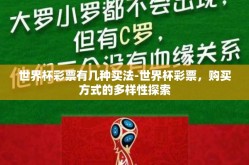 世界杯彩票有几种买法-世界杯彩票，购买方式的多样性探索