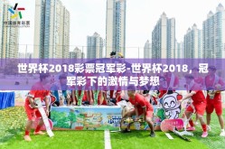 世界杯2018彩票冠军彩-世界杯2018，冠军彩下的激情与梦想