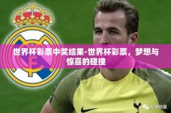 世界杯彩票中奖结果-世界杯彩票，梦想与惊喜的碰撞