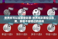 世界杯可以买那些彩票-世界杯彩票投注指南，那些不容错过的选择