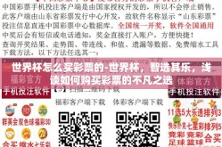 世界杯怎么买彩票的-世界杯，智选其乐，浅谈如何购买彩票的不凡之选
