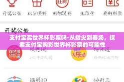 支付宝买世界杯彩票吗-从指尖到赛场，探索支付宝购彩世界杯彩票的可能性