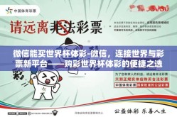 微信能买世界杯体彩-微信，连接世界与彩票新平台——购彩世界杯体彩的便捷之选