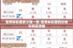 世界杯彩票多少钱一张-世界杯彩票的价格与购买攻略