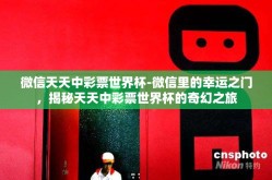 微信天天中彩票世界杯-微信里的幸运之门，揭秘天天中彩票世界杯的奇幻之旅