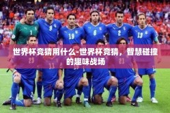 世界杯竞猜用什么-世界杯竞猜，智慧碰撞的趣味战场