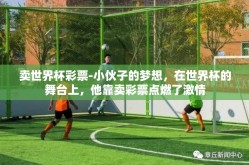 卖世界杯彩票-小伙子的梦想，在世界杯的舞台上，他靠卖彩票点燃了激情