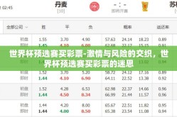 世界杯预选赛买彩票-激情与风险的交织，世界杯预选赛买彩票的迷思