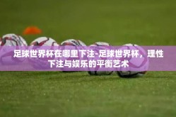 足球世界杯在哪里下注-足球世界杯，理性下注与娱乐的平衡艺术