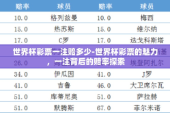 世界杯彩票一注赔多少-世界杯彩票的魅力，一注背后的赔率探索