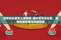 世界杯彩票怎么买赚钱-解析世界杯彩票，理性购买指南与风险控管