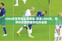 2006年世界杯彩票奖金-回首2006年，世界杯彩票奖金的狂热足迹