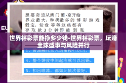 世界杯彩票能挣多少钱-世界杯彩票，玩赚全球盛事与风险并行