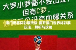 澳门世界杯彩票玩法-揭开澳门世界杯彩票玩法，解析与攻略
