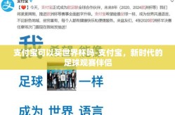 支付宝可以买世界杯吗-支付宝，新时代的足球观赛伴侣