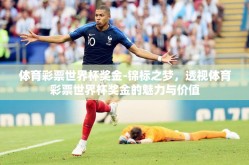 体育彩票世界杯奖金-锦标之梦，透视体育彩票世界杯奖金的魅力与价值