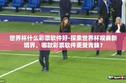 世界杯什么彩票软件好-探索世界杯观赛新境界，哪款彩票软件更受青睐？