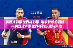 买足球彩票世界杯彩票-追求梦想的冒险——买足球彩票世界杯的乐趣与风险