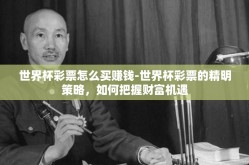 世界杯彩票怎么买赚钱-世界杯彩票的精明策略，如何把握财富机遇