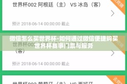 微信怎么买世界杯-如何通过微信便捷购买世界杯赛事门票与服务