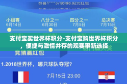 支付宝买世界杯积分-支付宝购世界杯积分，便捷与激情并存的观赛事新选择