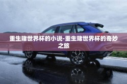 重生赌世界杯的小说-重生赌世界杯的奇妙之旅