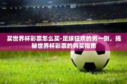 买世界杯彩票怎么买-足球狂欢的另一侧，揭秘世界杯彩票的购买指南