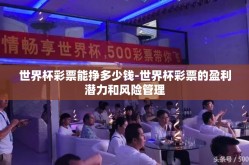 世界杯彩票能挣多少钱-世界杯彩票的盈利潜力和风险管理