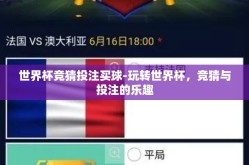 世界杯竞猜投注买球-玩转世界杯，竞猜与投注的乐趣