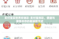 支付宝买世界杯体彩-支付宝购彩，便捷与激情并存的看球新方式