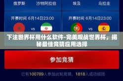 下注世界杯用什么软件-完美观战世界杯，揭秘最佳竞猜应用选择