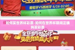 如何买世界杯彩票-如何在世界杯期间正确购买彩票